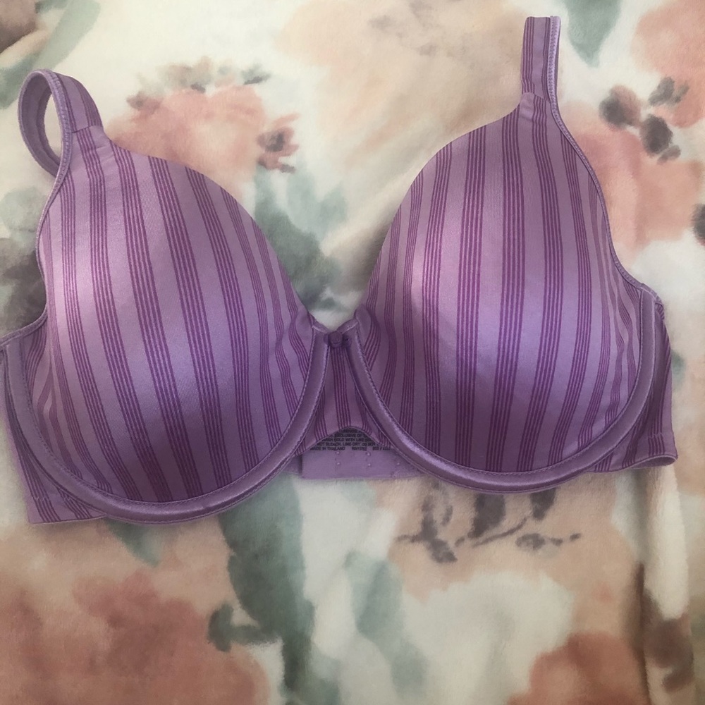 New Striped Purple Bra